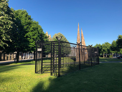 Free Entry | Pedro Pires