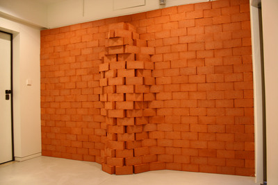 Esta Casa Não Se Habita | Pedro Pires