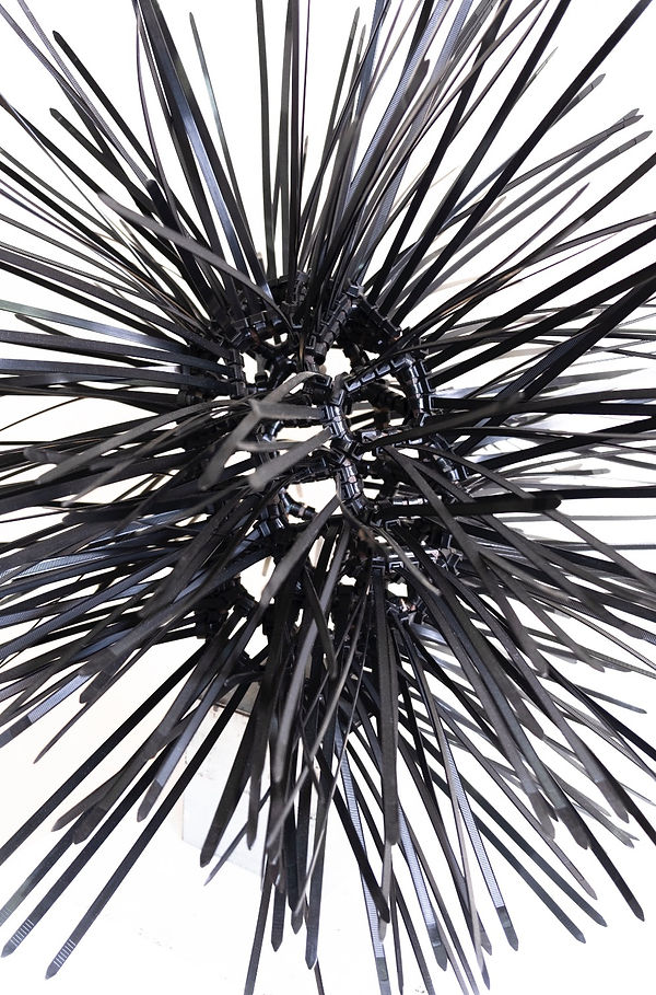 antifragilityexpansionone