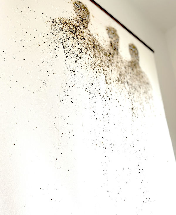 antifragilitystartmiddleend