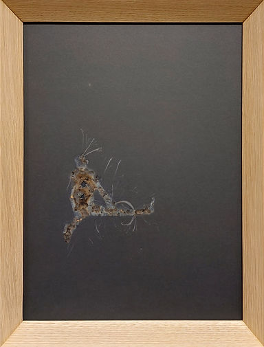 BodenWandEckeRaumSeries