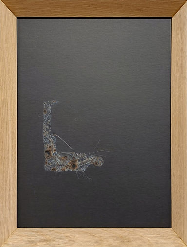 BodenWandEckeRaumSeries