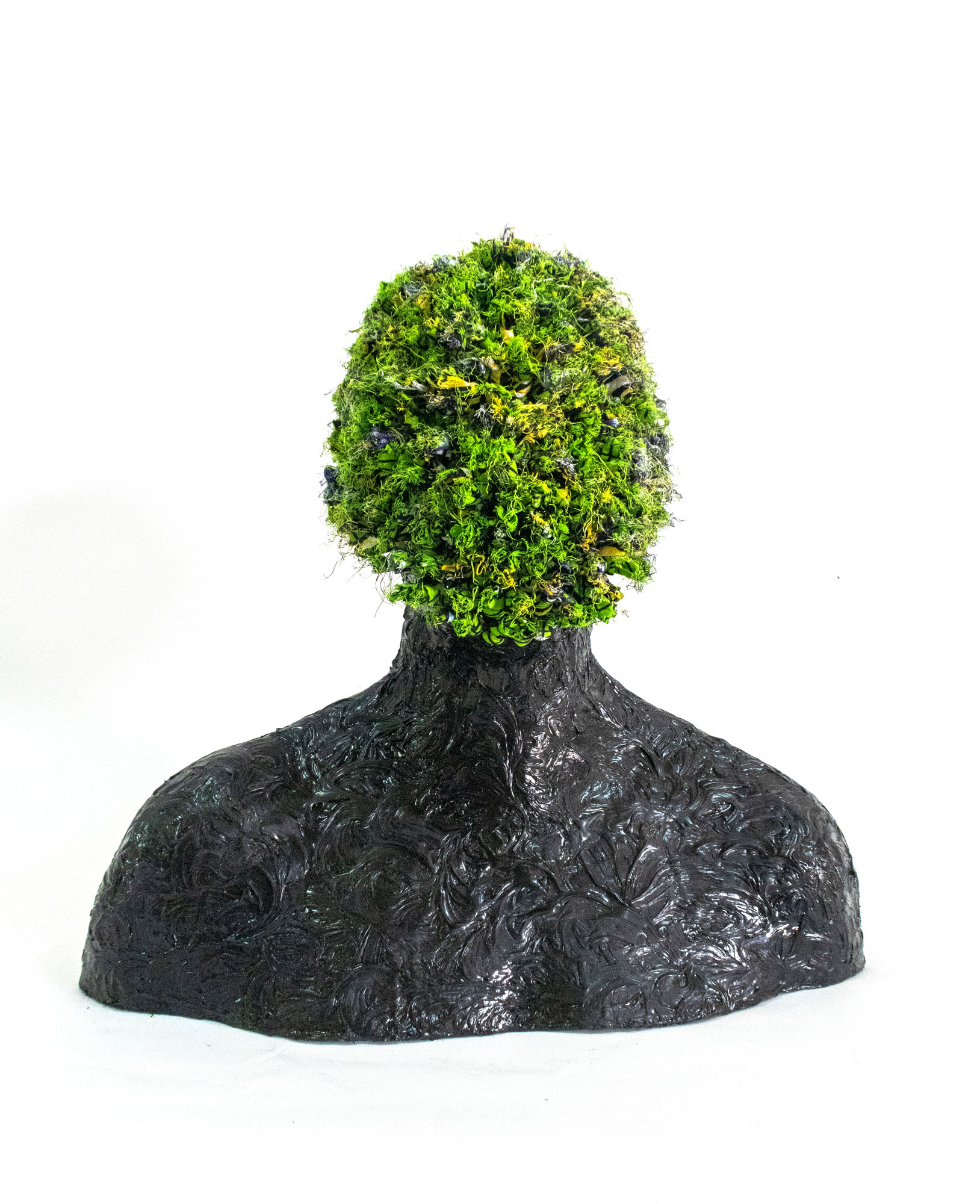 Transparency for the future