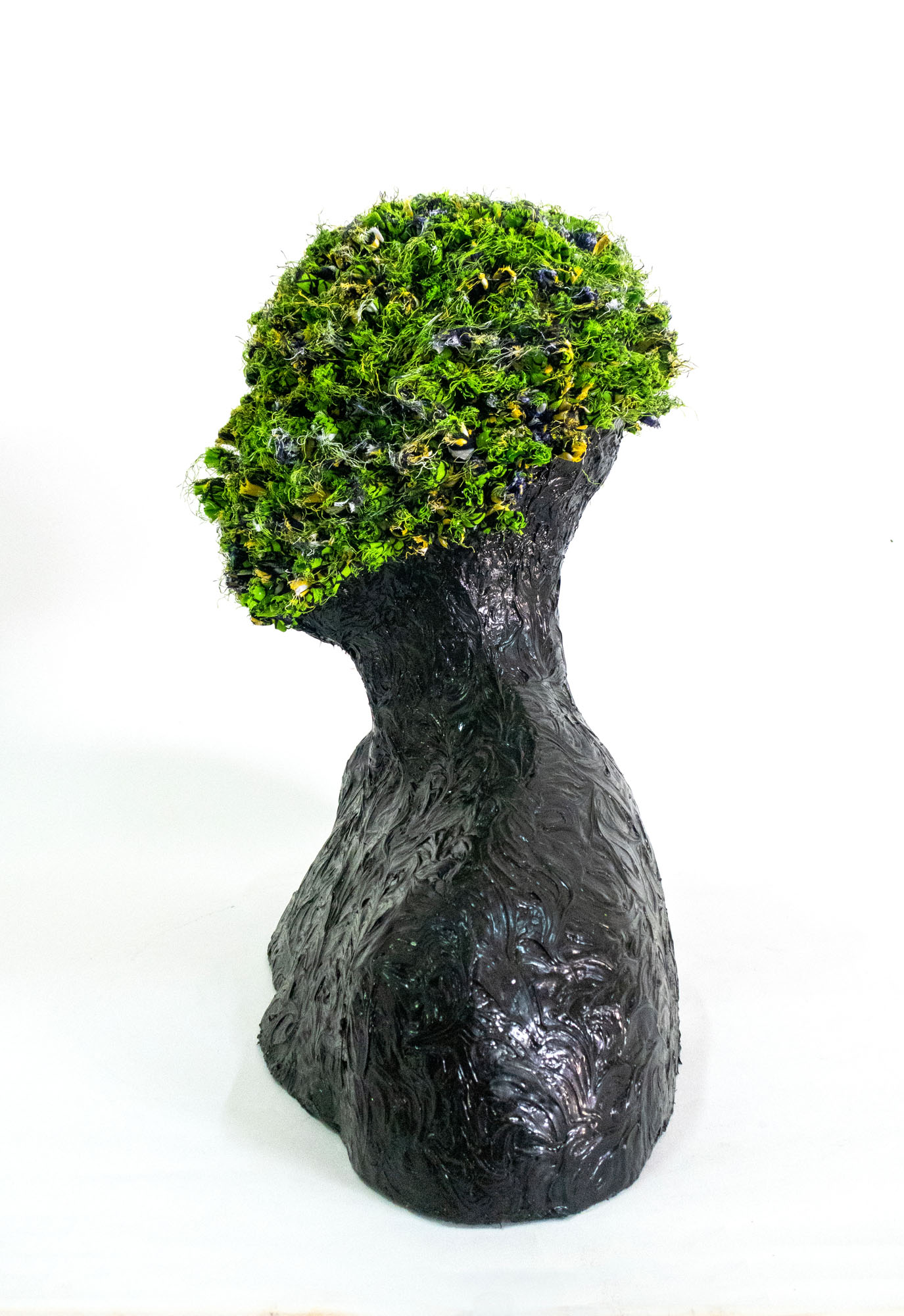 Transparency for the future