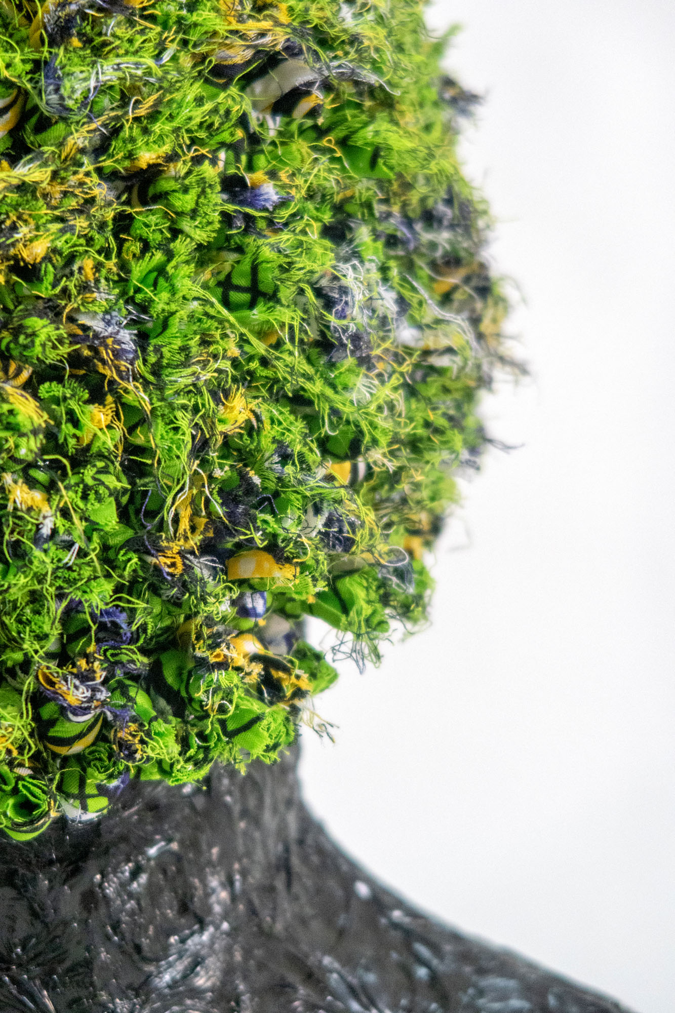 Transparency for the future