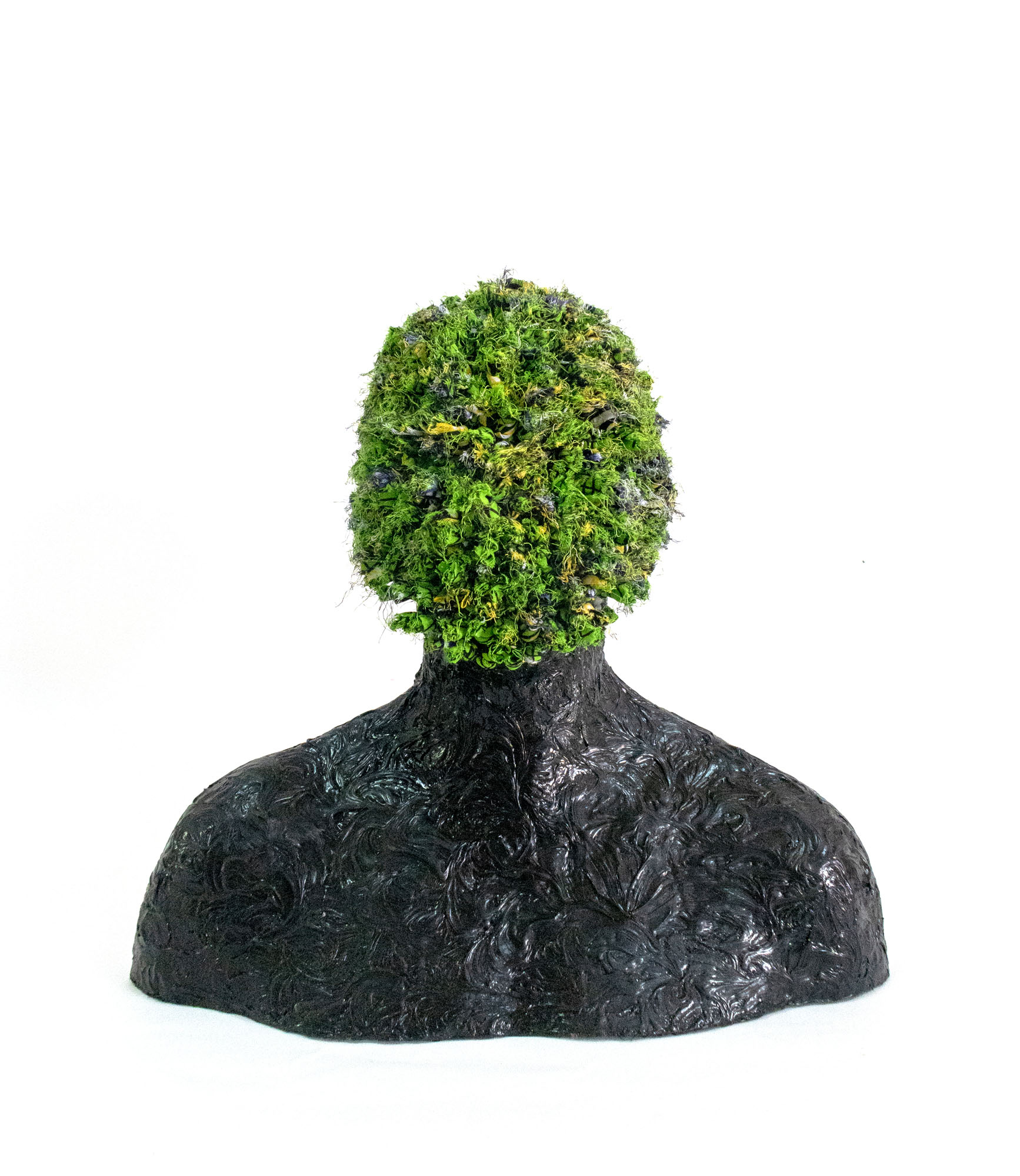 Transparency for the future