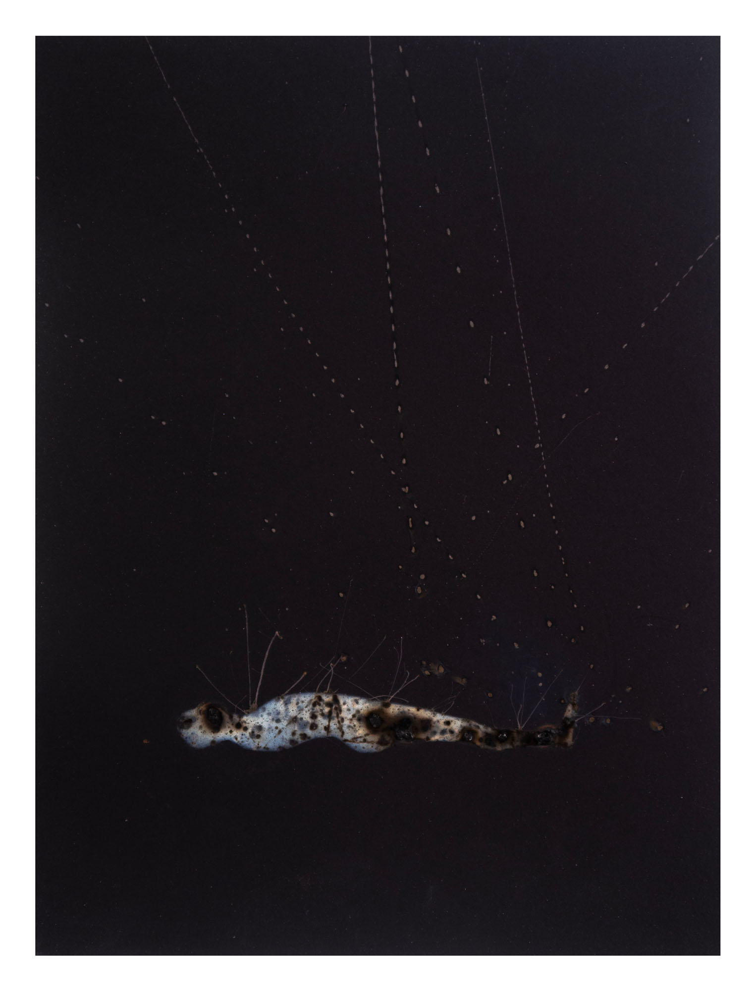 Disappearing acts series