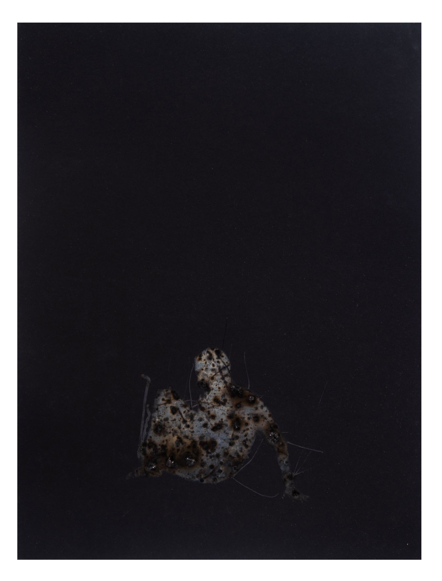 Disappearing acts series