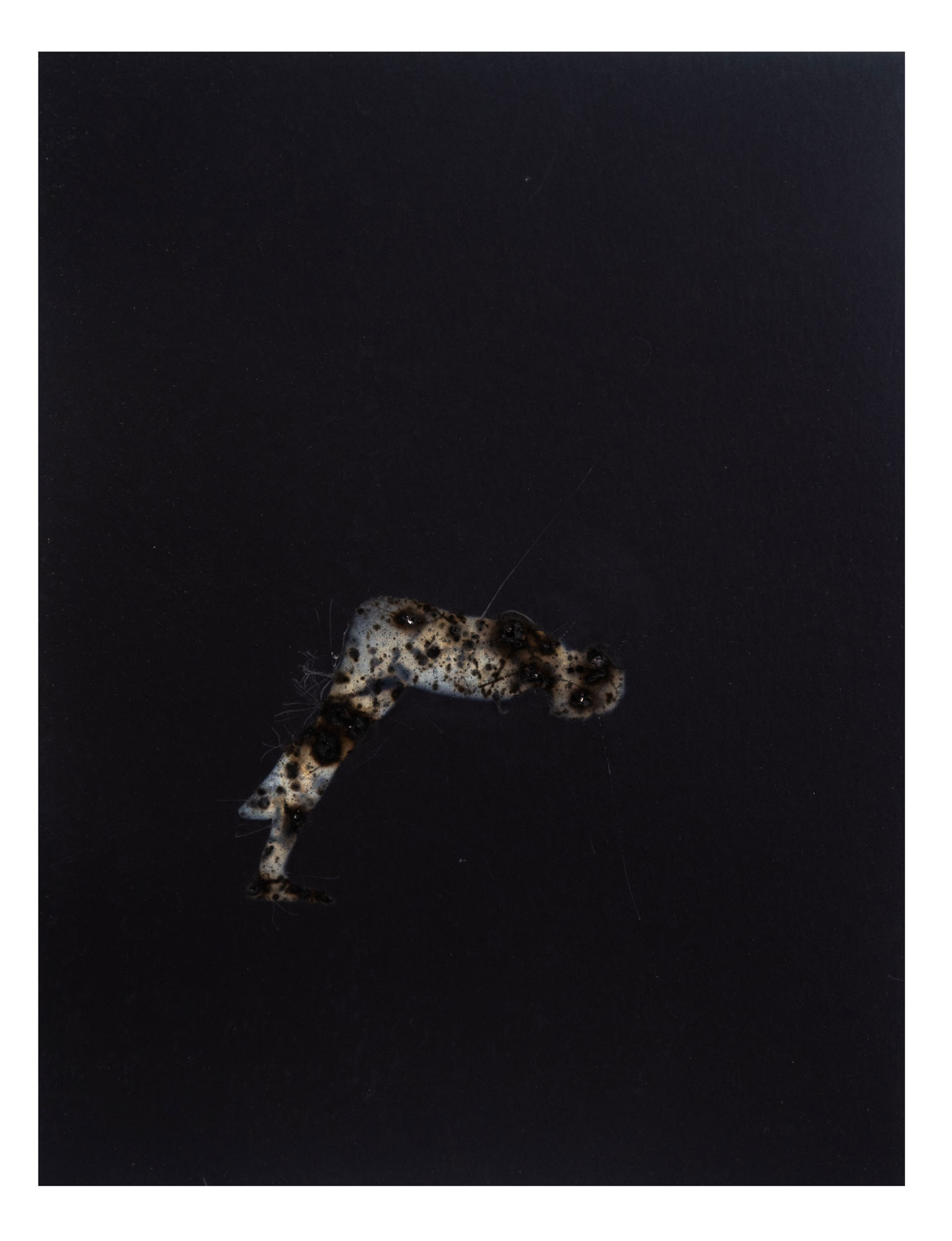 Disappearing acts series