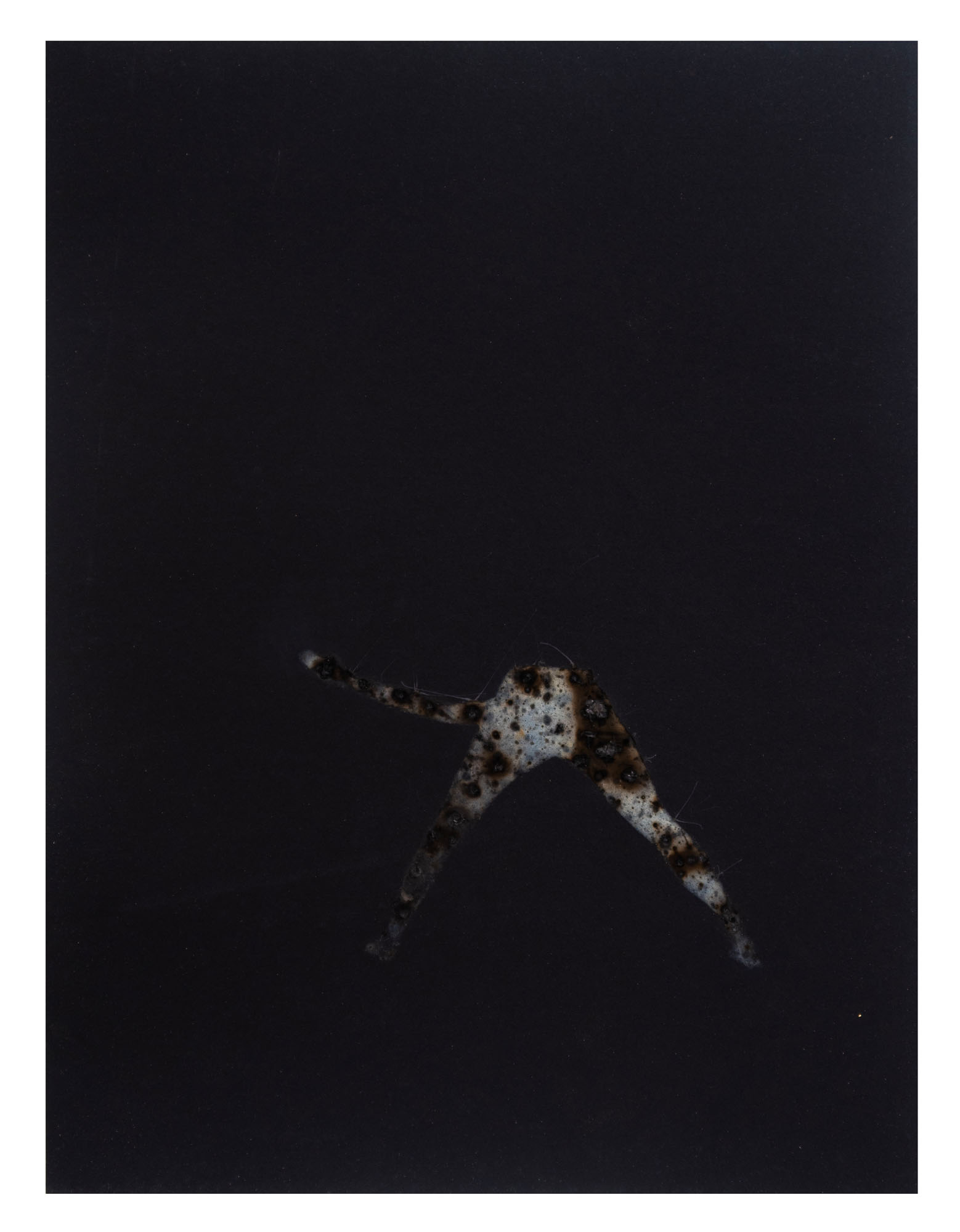 Disappearing acts series