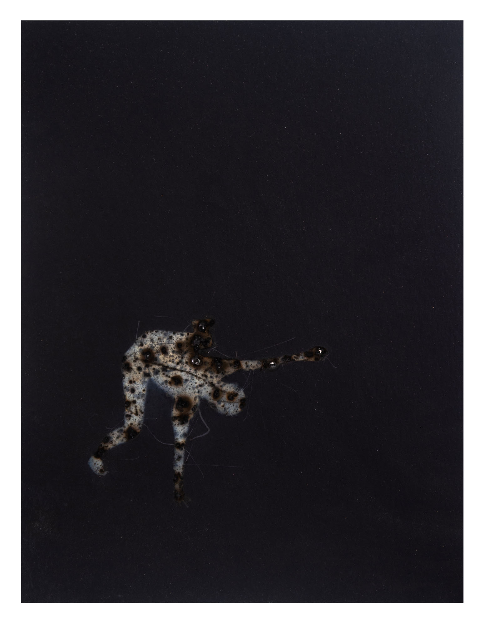 Disappearing acts series