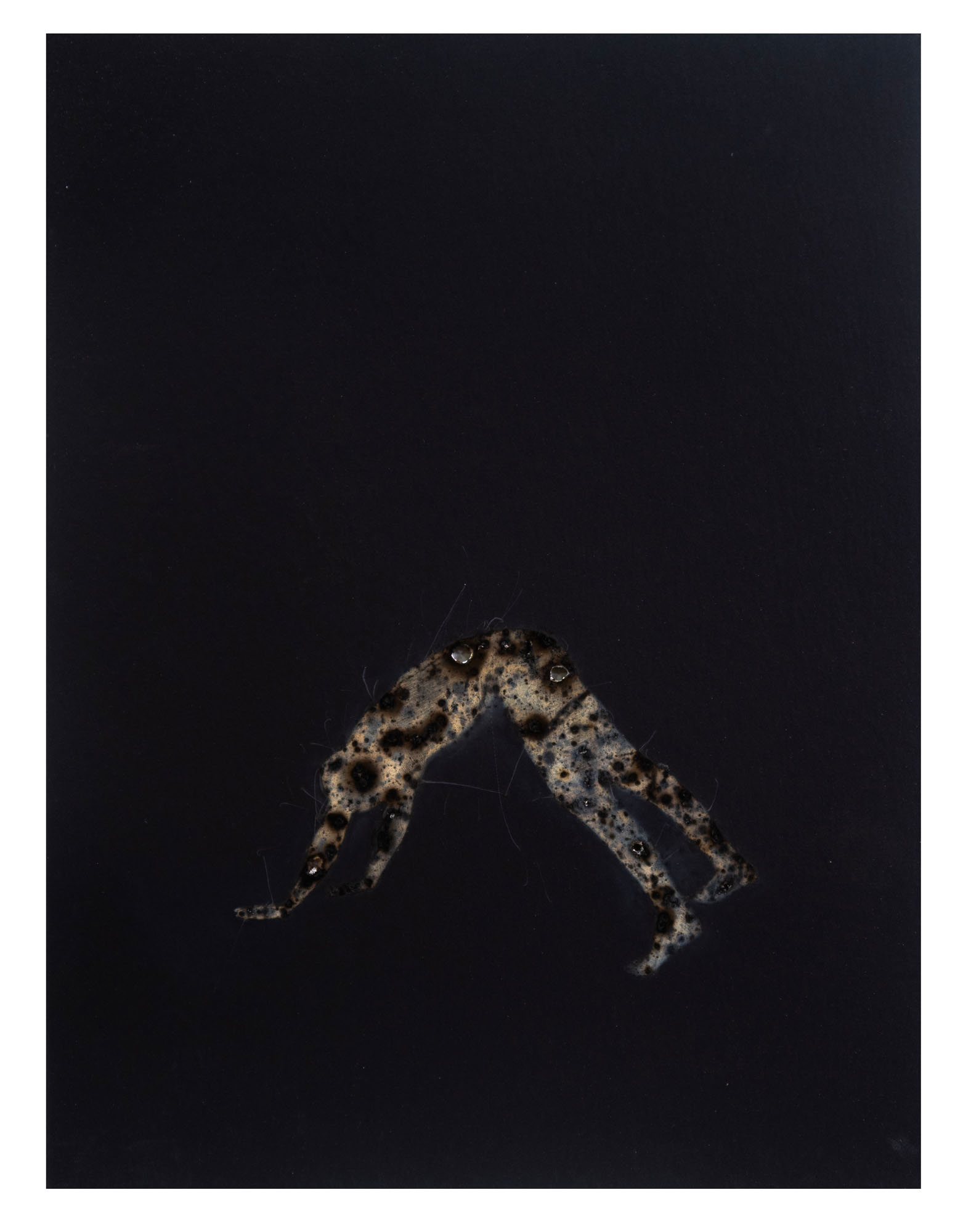 Disappearing acts series