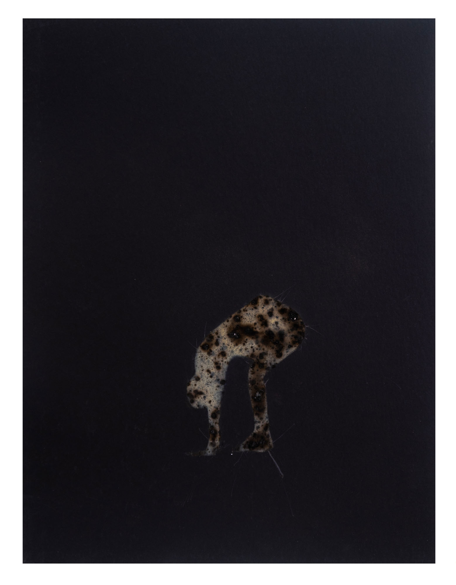 Disappearing acts series