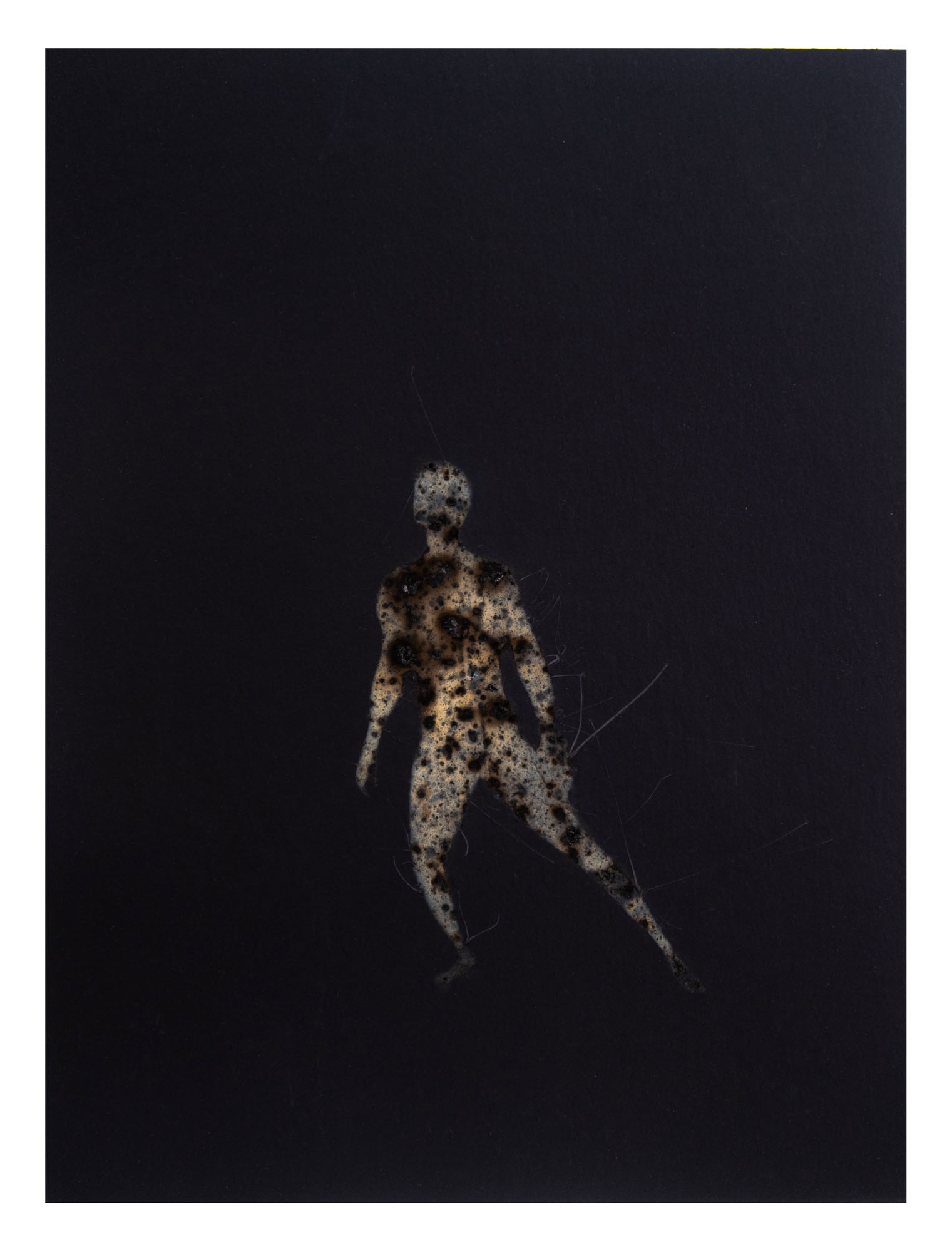 Disappearing acts series