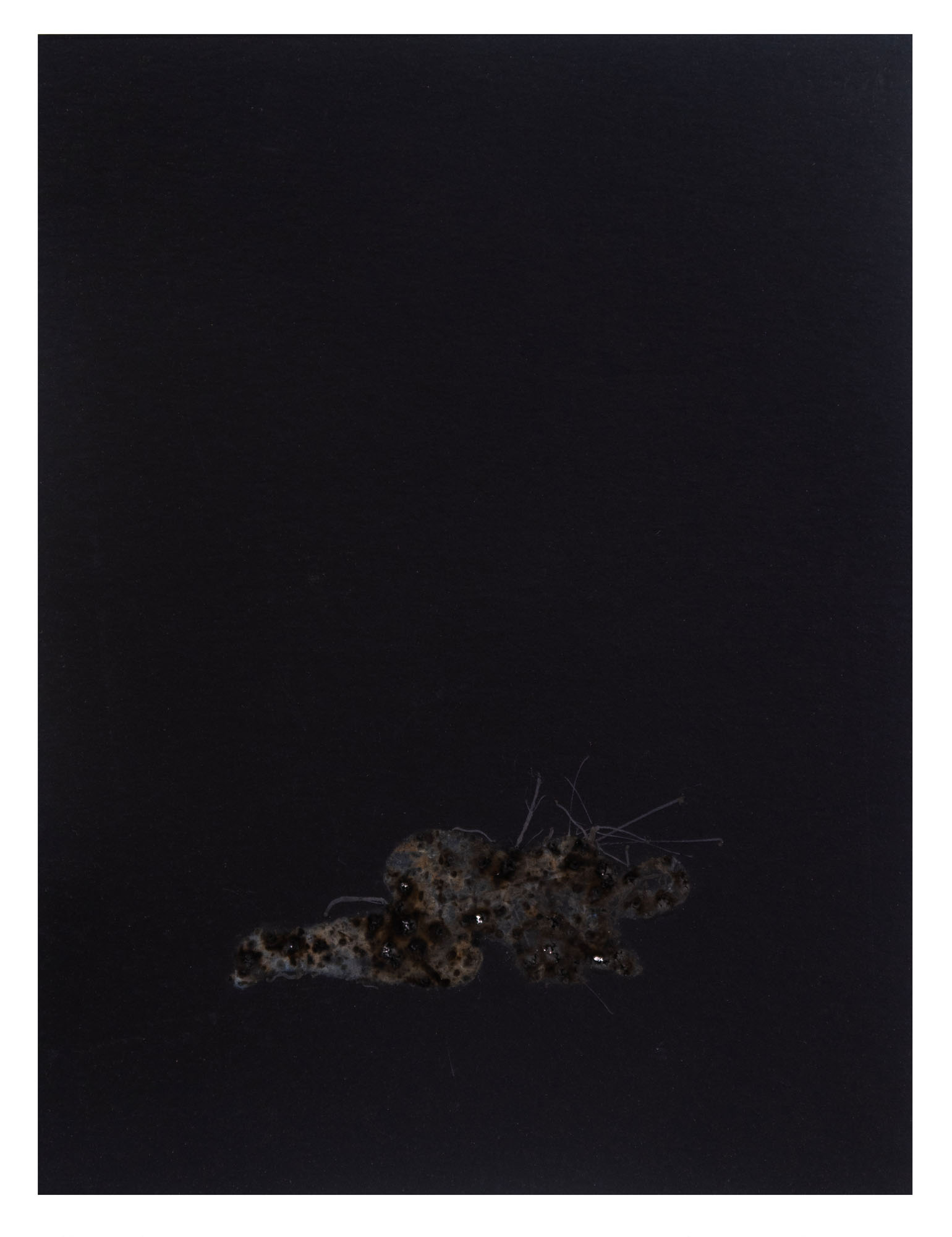 Disappearing acts series