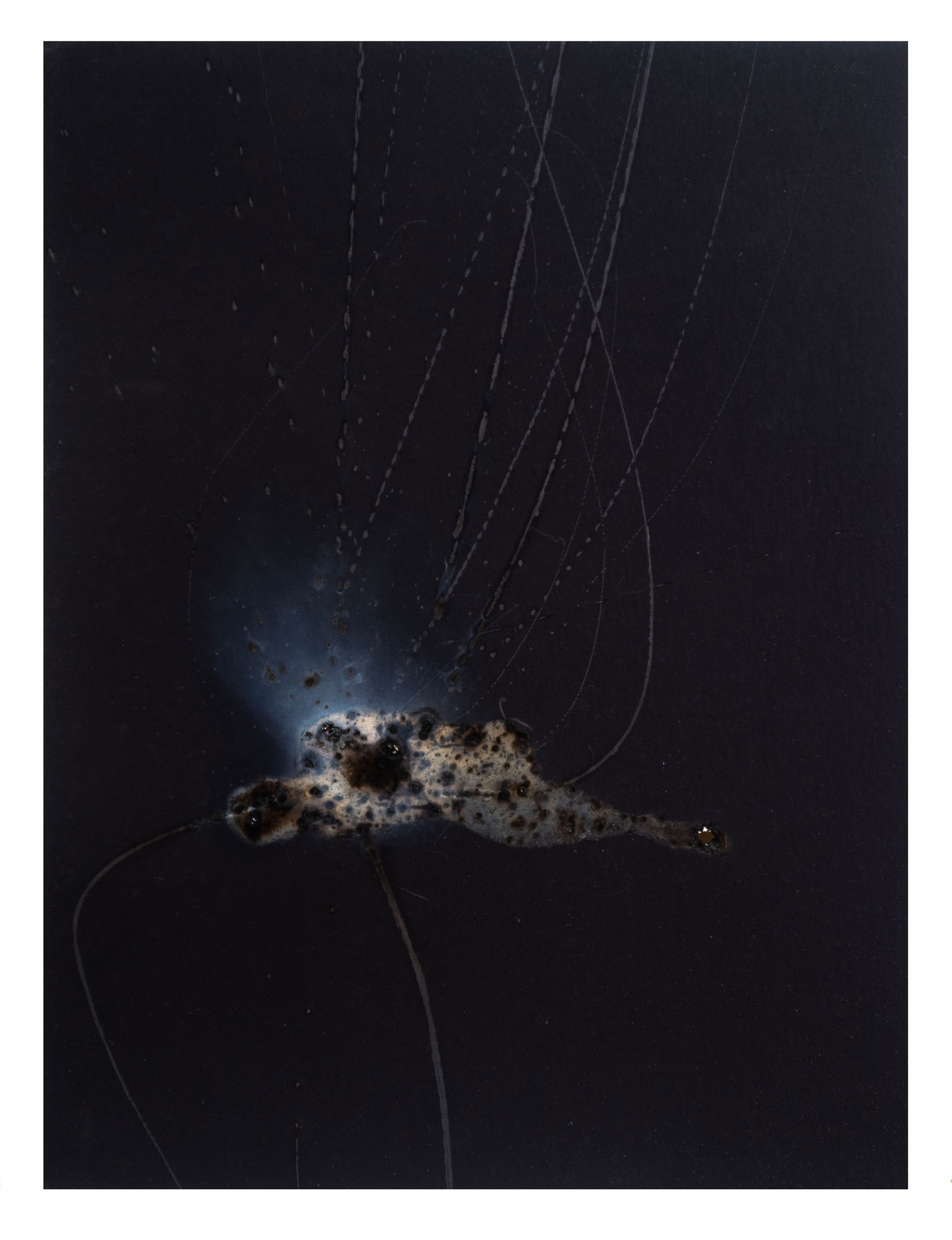 Disappearing acts series