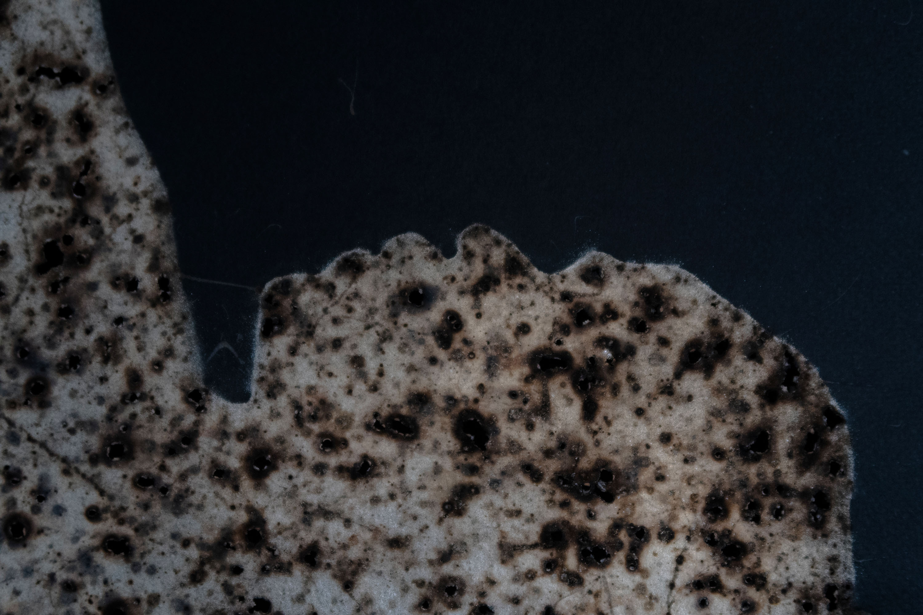 Disappearing act (high)