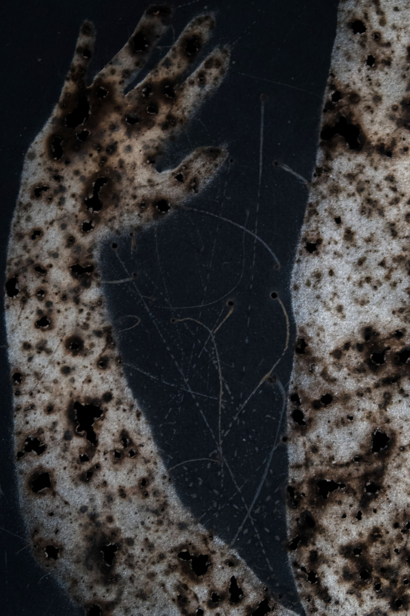 Disappearing act (high)