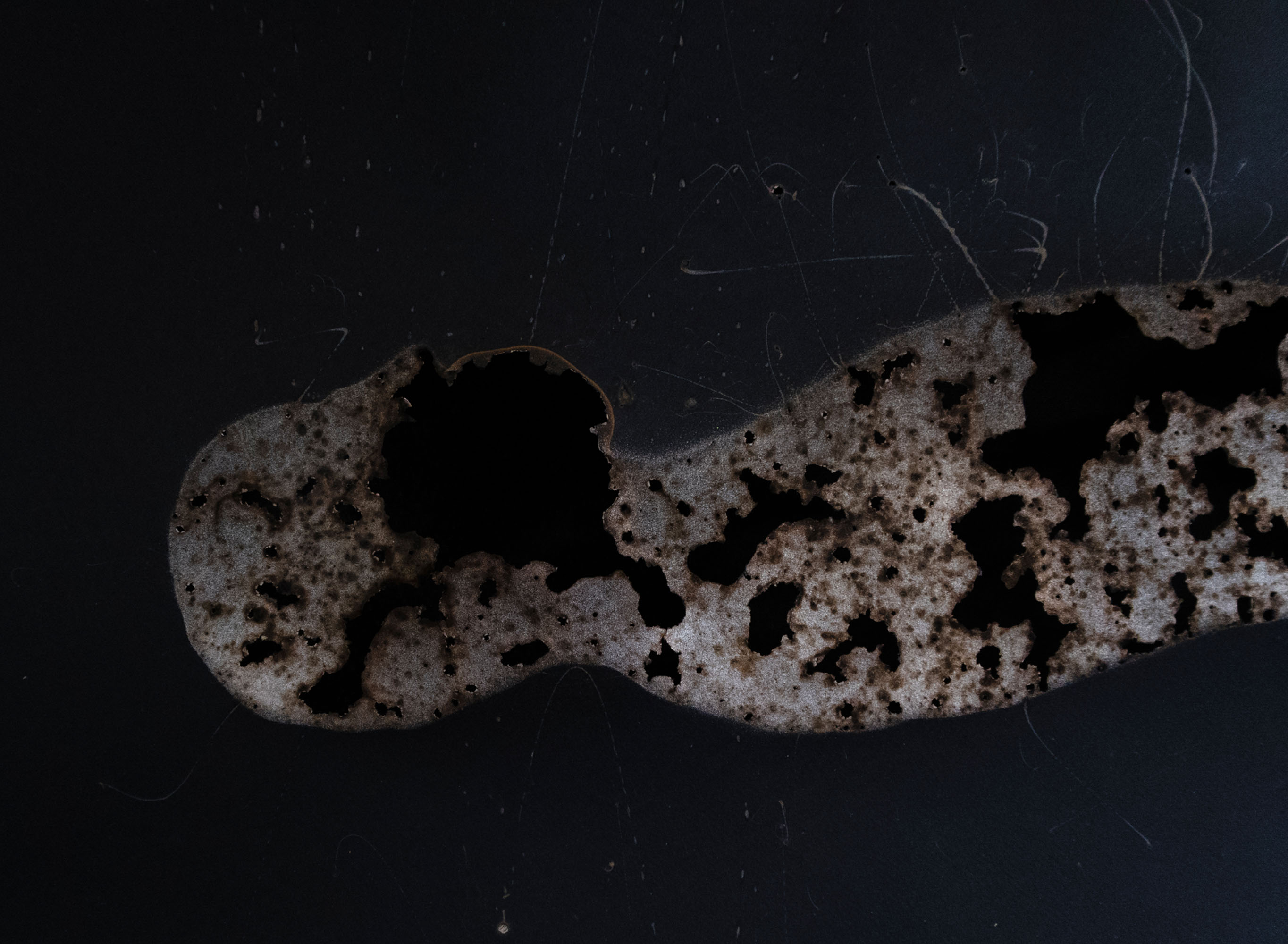 Disappearing act (low)