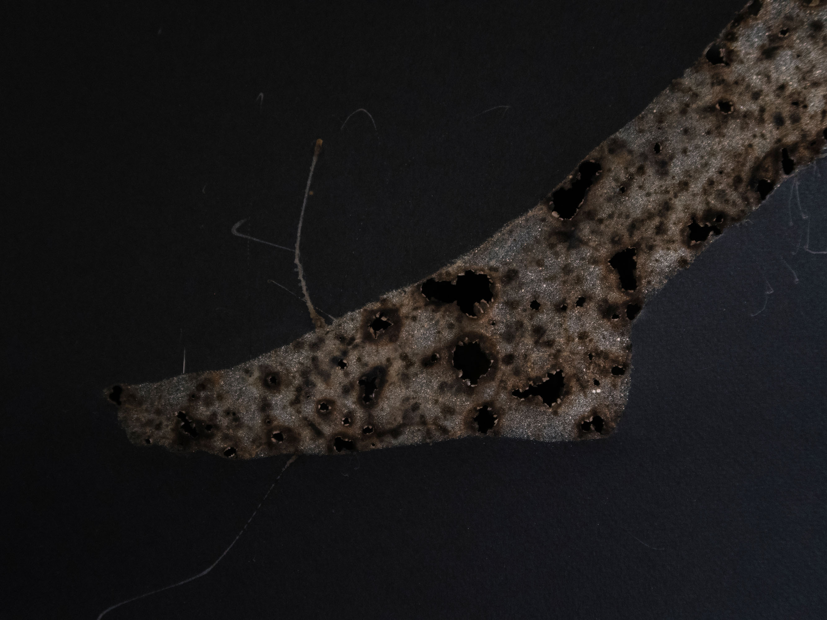 Disappearing act (mid)