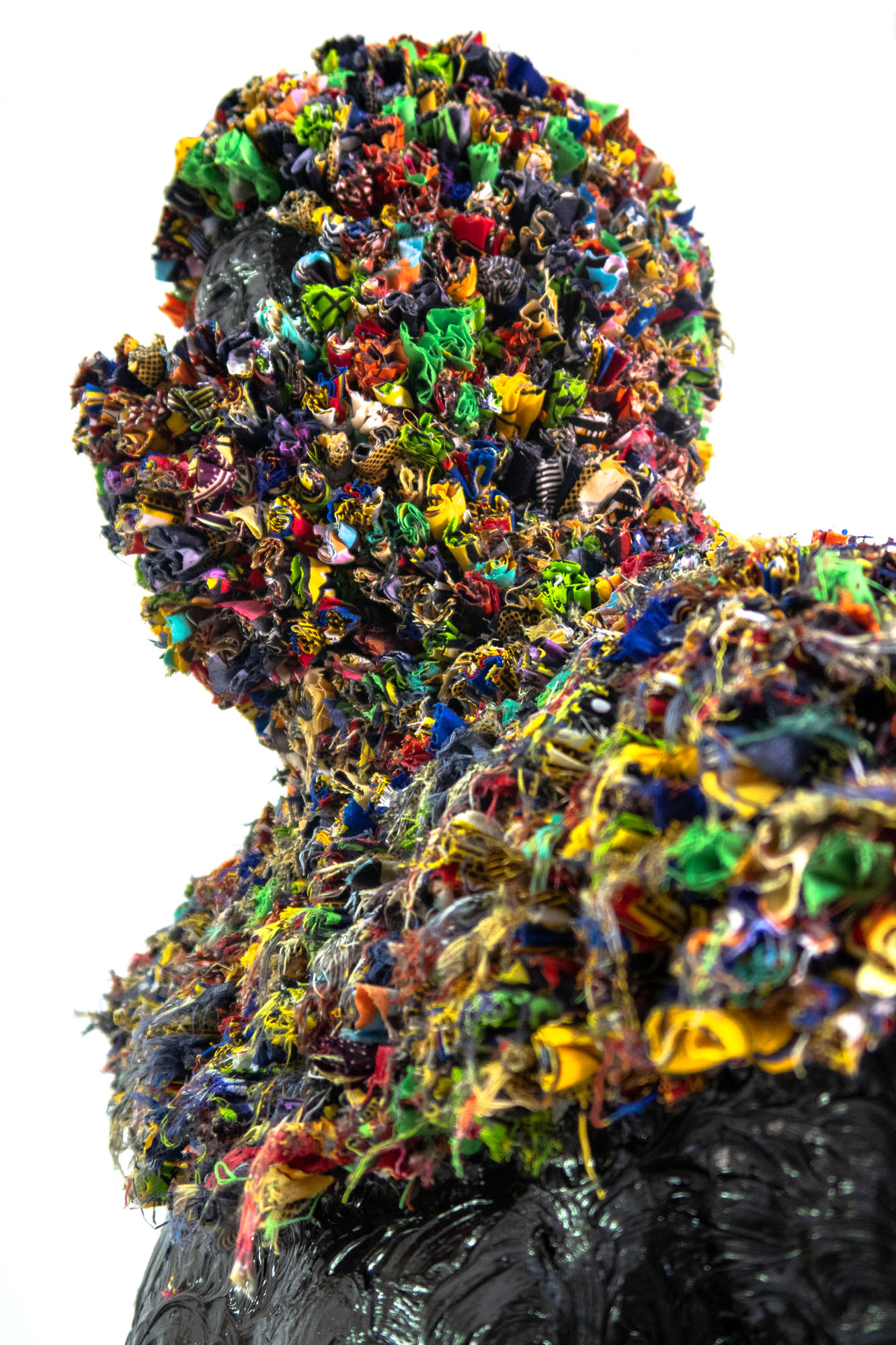 Canopy for the future